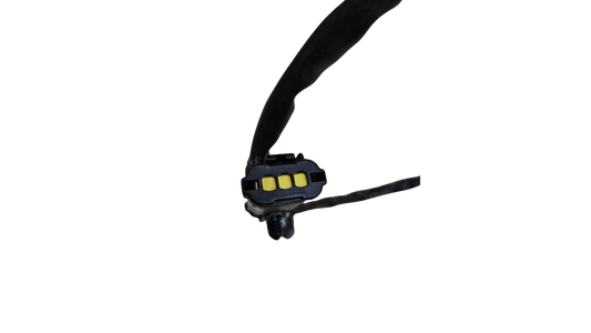 2593977C91 - Genuine International Wiring Harness, DPF Sensor - 2 - wisentpartscenter.com
