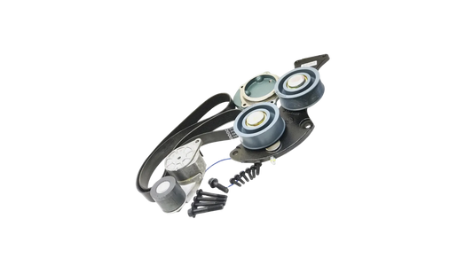 Buy Genuine Detroit Diesel Auto Belt Tensioner Kit 23527061, 23527060 - wisentpartscenter.com