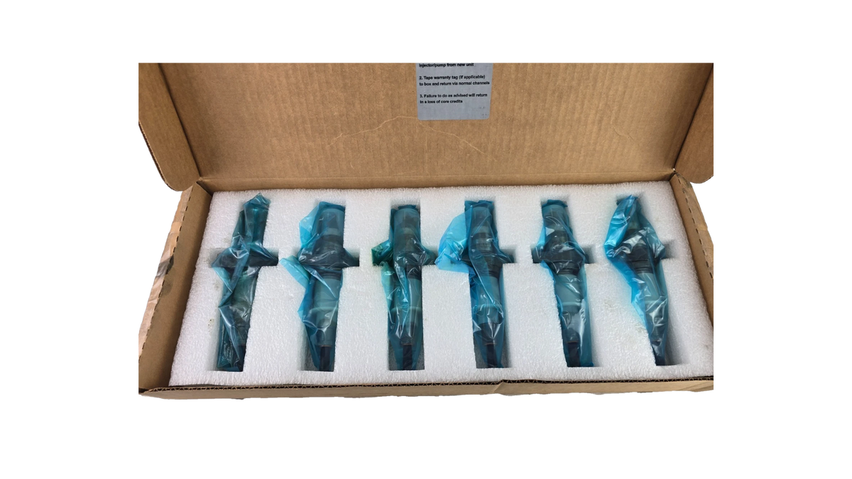 Buy wp20597 - Genuine Cummins Fuel Injector Kit – ISB/QSB 5.9L - 2 - wisentpartscenter.com
